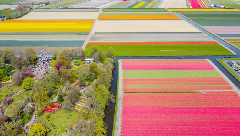 Bollenstreek & Keukenhof