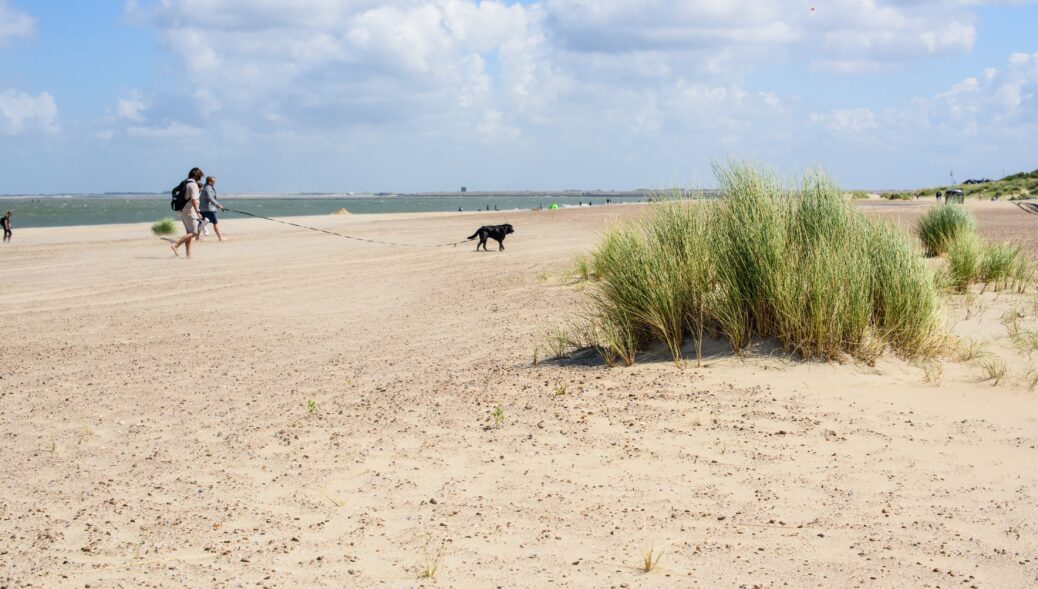 Renesse mit Hund