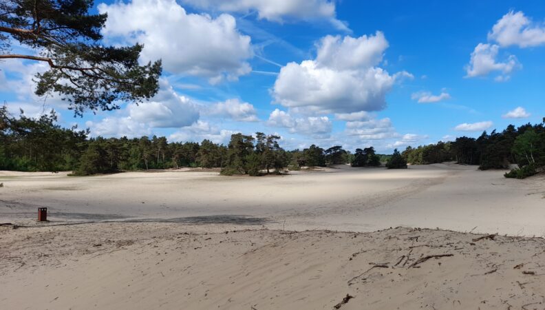 Sahara Junne Ommen Vechtetal Urlaub Overijssel Niederlande Ommen