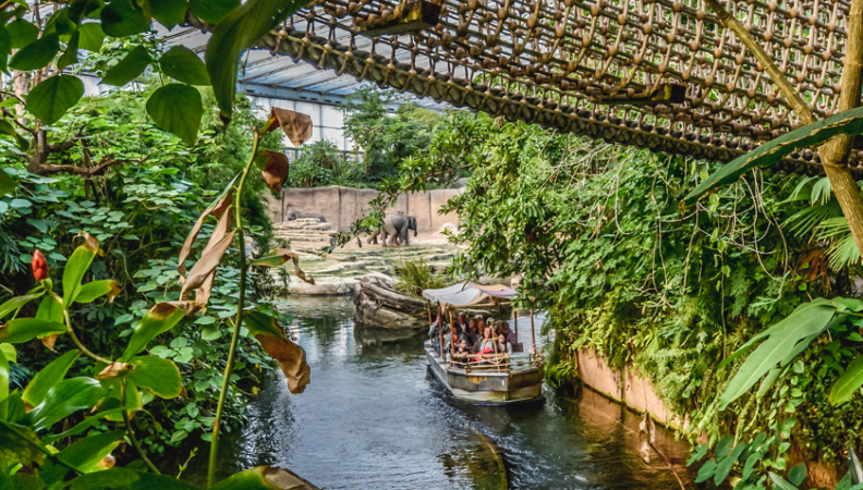 Wildlands Emmen Urlaub Freizeitpark