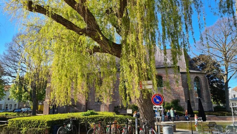 Groede Zeeland Niederlande Urlaub