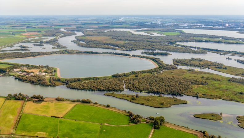 Biesbosch