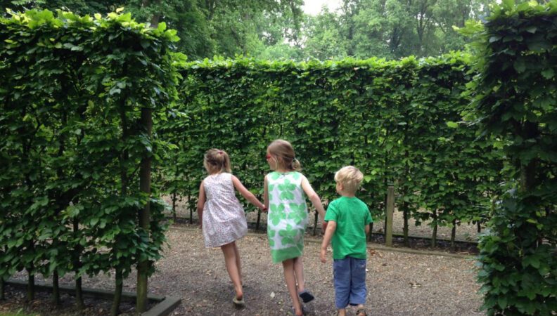 Kasteel de Haar labyrinth (credits Kasteel de Haar)