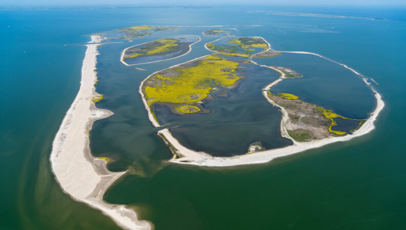 Marker Wadden