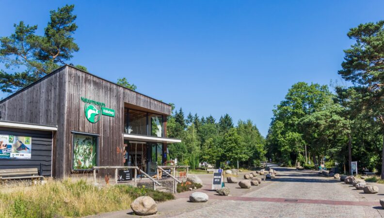 Natuurmuseum Holterberg