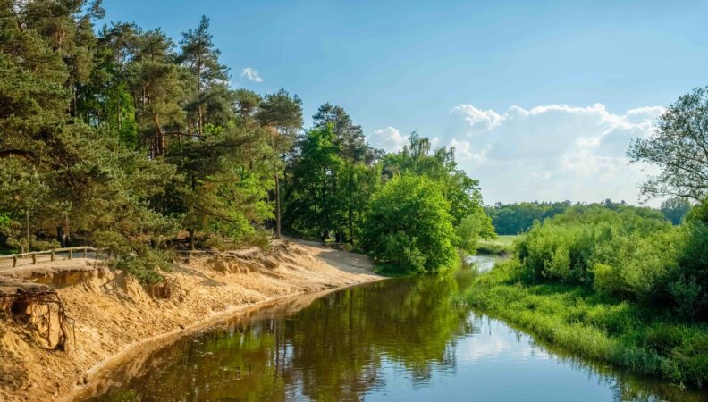 Naturschutzgebiet Lutterzand