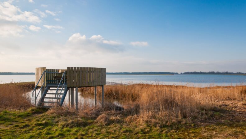 Biesbosch Aussichtspunkt