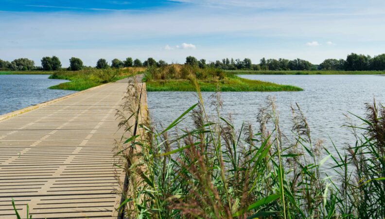 Holzbrücke im Nationalpark De Biesbosch