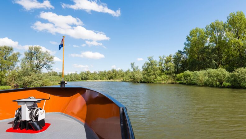 Mit dem Boot den Biesbosch erkunden