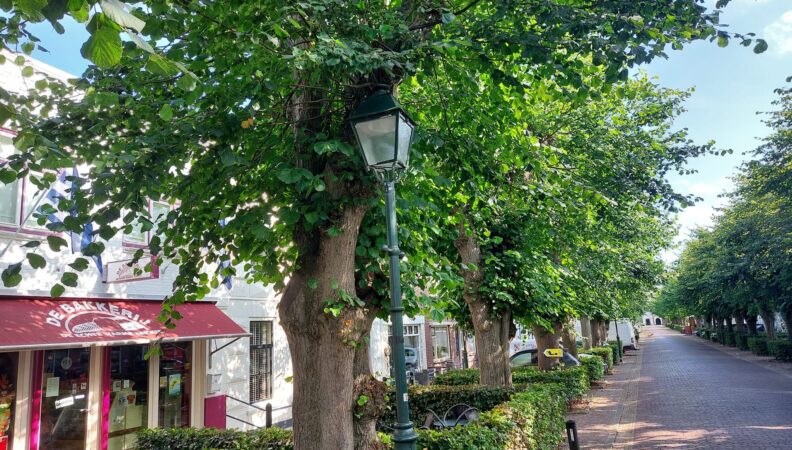 Colijnsplaat Voorstraat