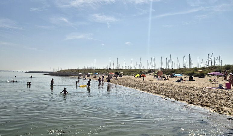 Strand in Colijnsplaat