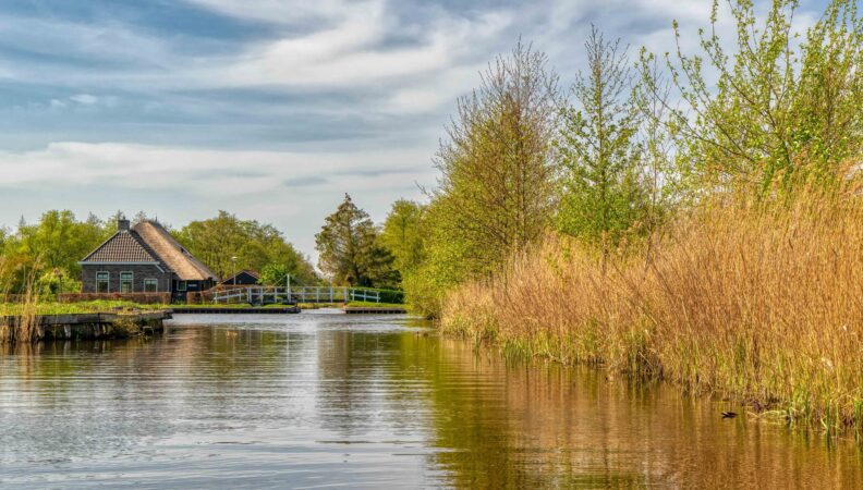 Sumpfland in Weerribben-Wieden